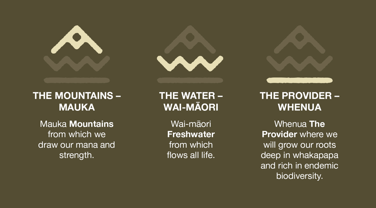 Qldc Project Tohu Website Graphic Oct24